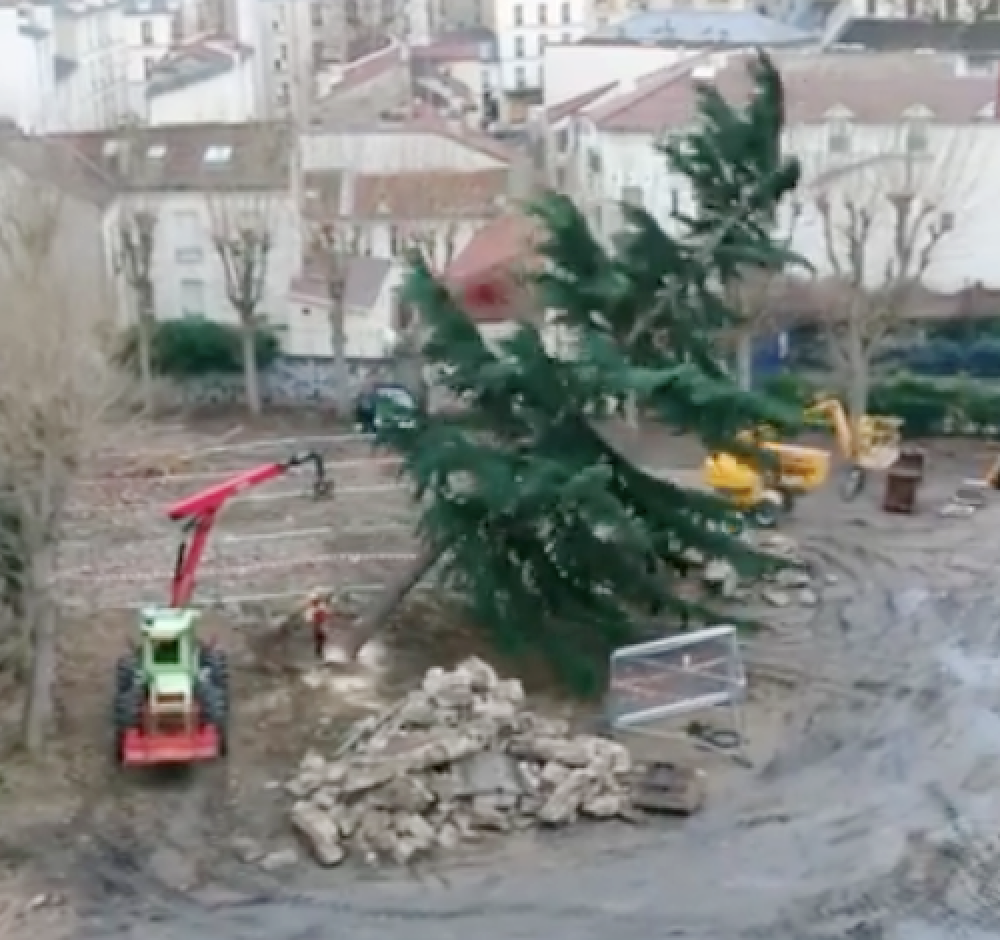 Avenue Netter : La RATP abat les arbres et construit un site réservé pour  un jardin – FNE PARIS