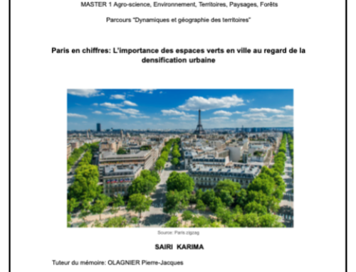 Rapport de master “Paris en chiffres: l’importance des espaces vers en ville au regard de la densification urbaine” par Karima SAIRI août 2022