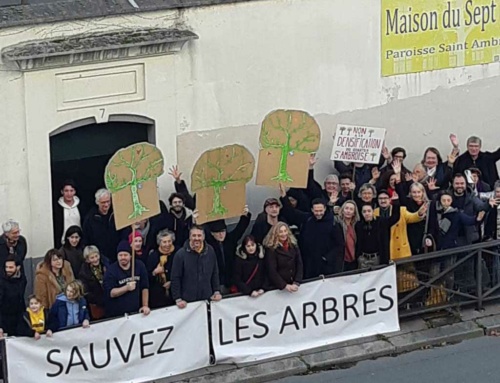 Non à l’abattage des arbres du passage Saint-Ambroise (11e)