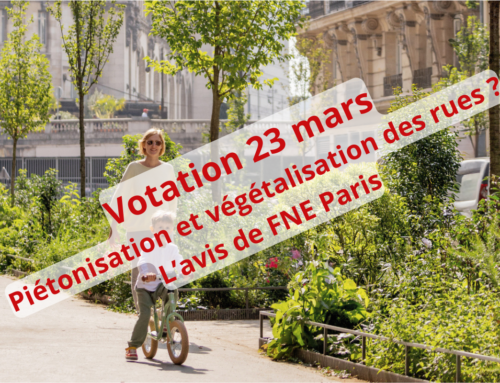 Votation du 23 mars : pour ou contre végétaliser et rendre piétonnes 500 nouvelles rues ?