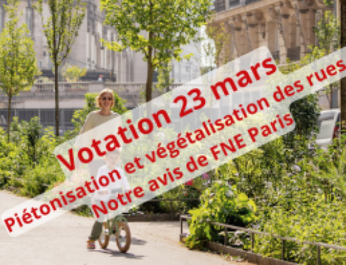 Votation du 23 mars : pour ou contre végétaliser et rendre piétonnes 500 nouvelles rues ?